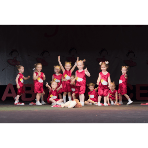 Шакша - Дорогино Шакша - Дорогино