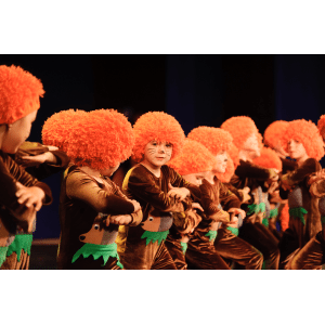 Шакша - Дорогино Шакша - Дорогино